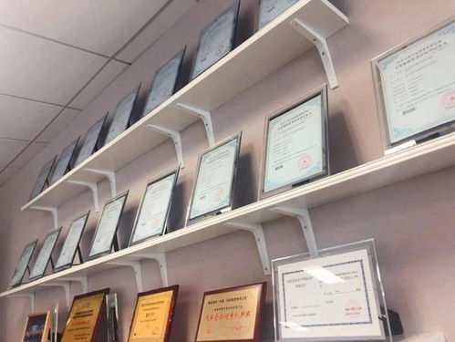 喜报！建元资本荣获15项计算机软件著作权证书，引领信息技术咨询服务新高度